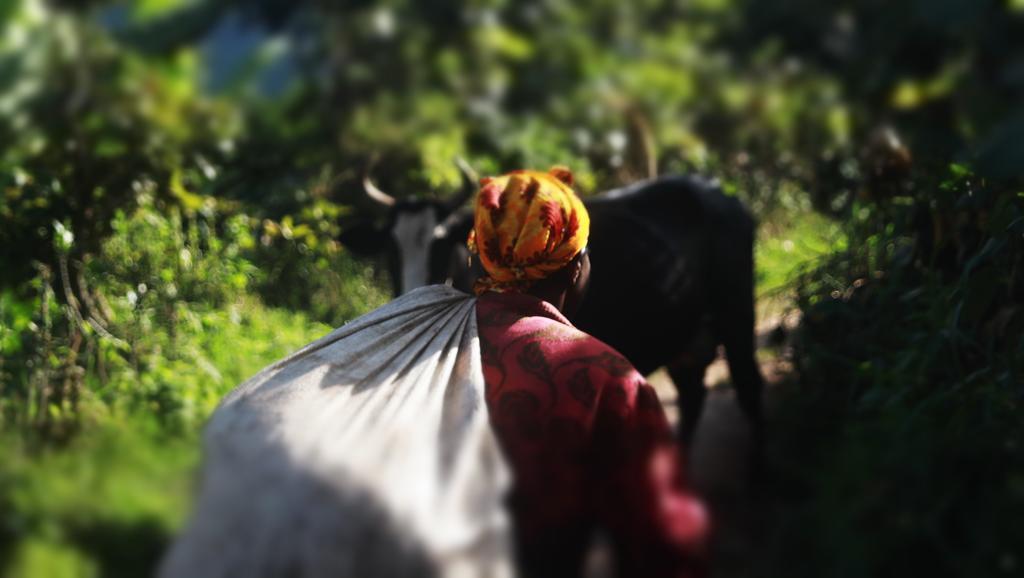 Amasiko Homestay Lake Bunyonyi Kabale Bagian luar foto